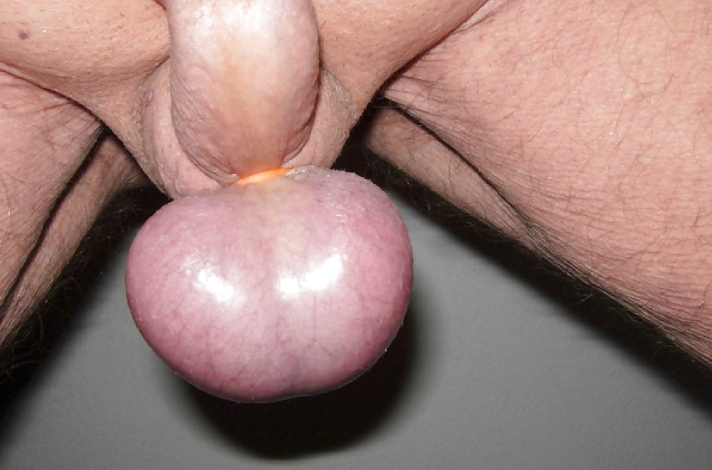 Sniffing cock balls xxx pic
