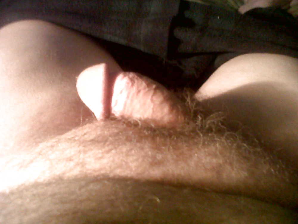 my cock just took photo of. you make it hard! yummy for you. porn pictures