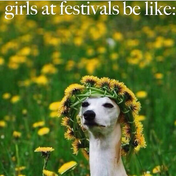 Girls and Diverses 22 porn pictures