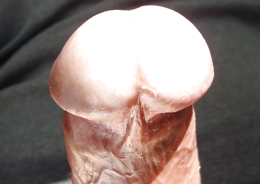FRANK'S HUGE COCK: Detail of Head porn pictures