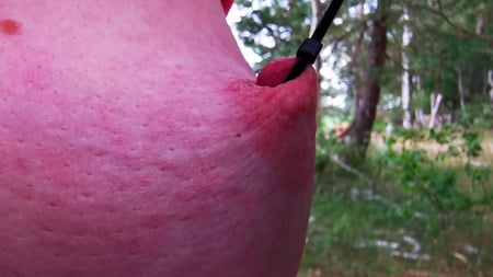 painful using her nipples in public         