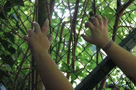 die parkbank the park bench iv         