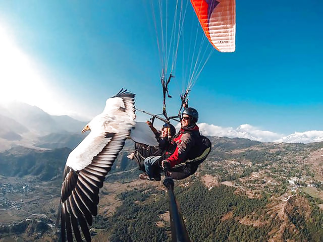 Girls and Diverses 35 porn pictures