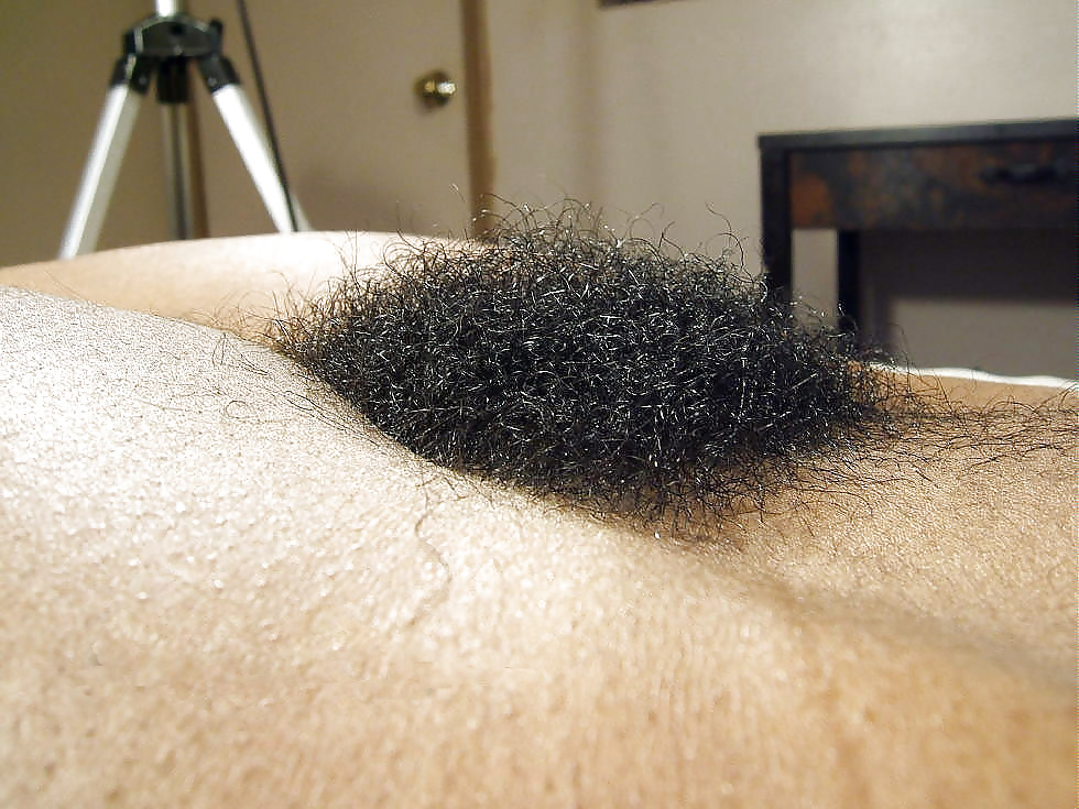 HAIRY ASS PUSSY I LIKE VOL.50 porn pictures