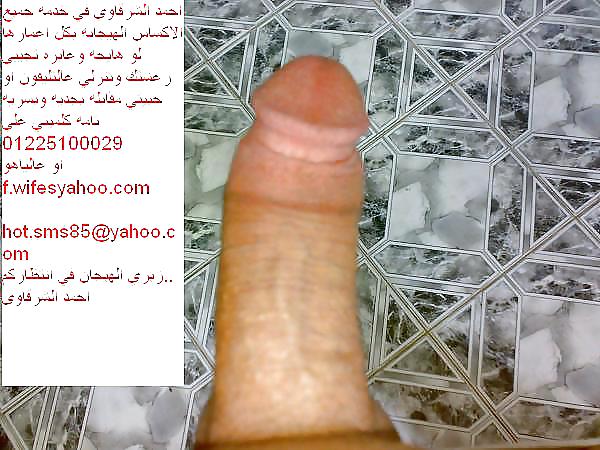 my arab cock 4 all womn 01225100029 porn pictures