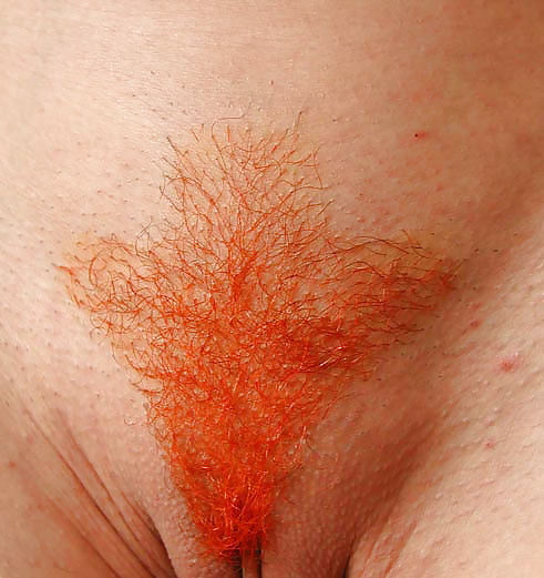 Pubic Hair Style 13 Pics Xhamster