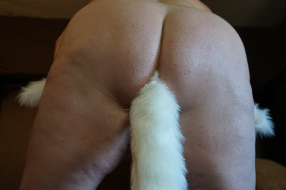 Sexy BBW Furry Fox Photoset - 56 Photos 