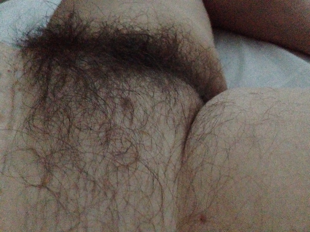 Hairy pussy porn pictures