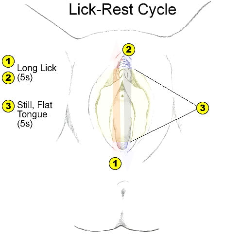 Instuctions for perfect pussy lick porn pictures