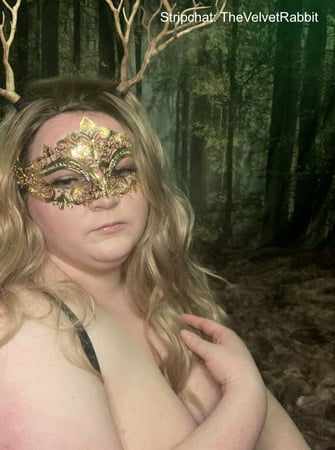 velvet rabbit free photos         