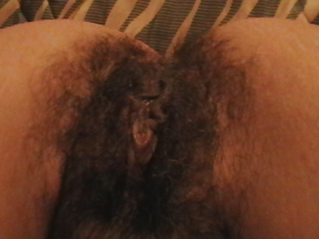 More Hairy Latin Lady porn pictures