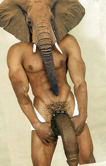 Elephant gay porn - 🧡 The Big ImageBoard (TBIB) - anal anal penetration ba...