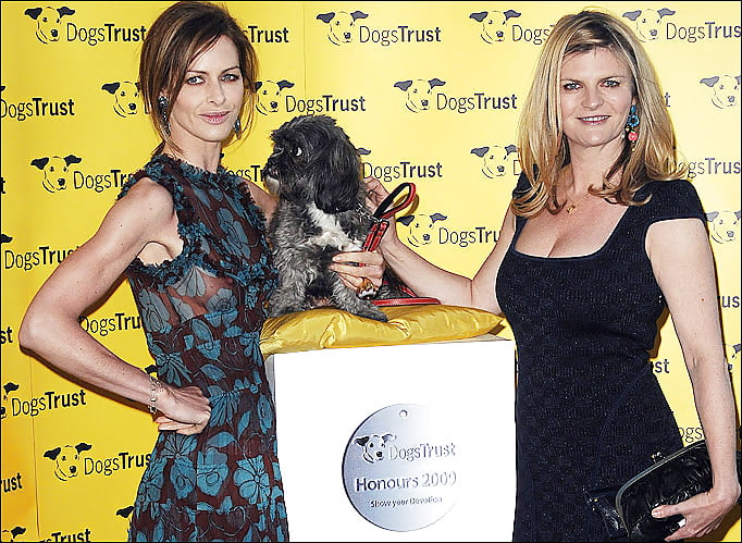 Voyeur.Candid.26-7 porn pictures