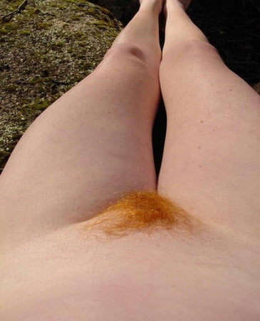 Best Of Orange Red Brown Ginger Blonde Pubic Hair Pics