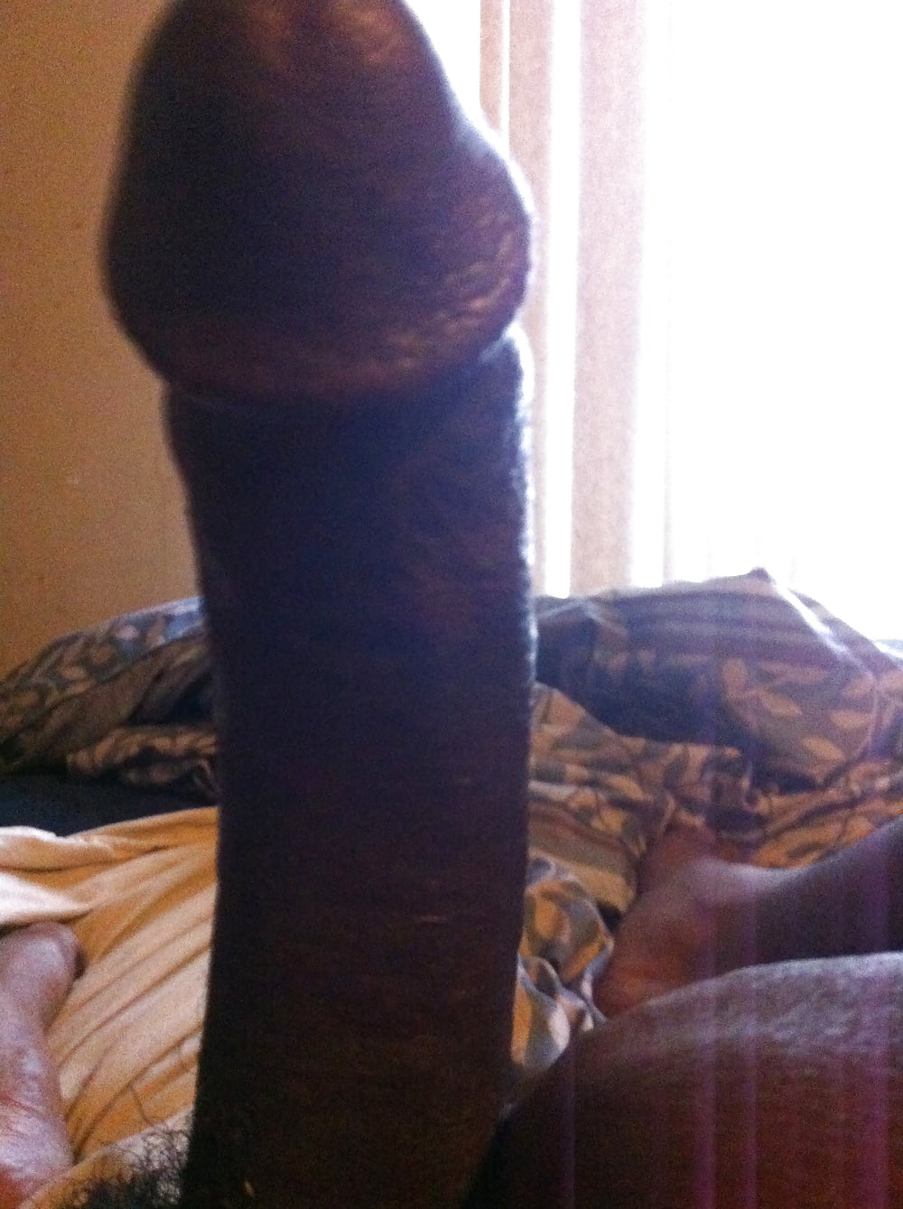 bbc dick porn pictures