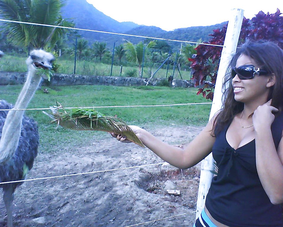 FACEBOOK SILVANA AMORIM porn pictures