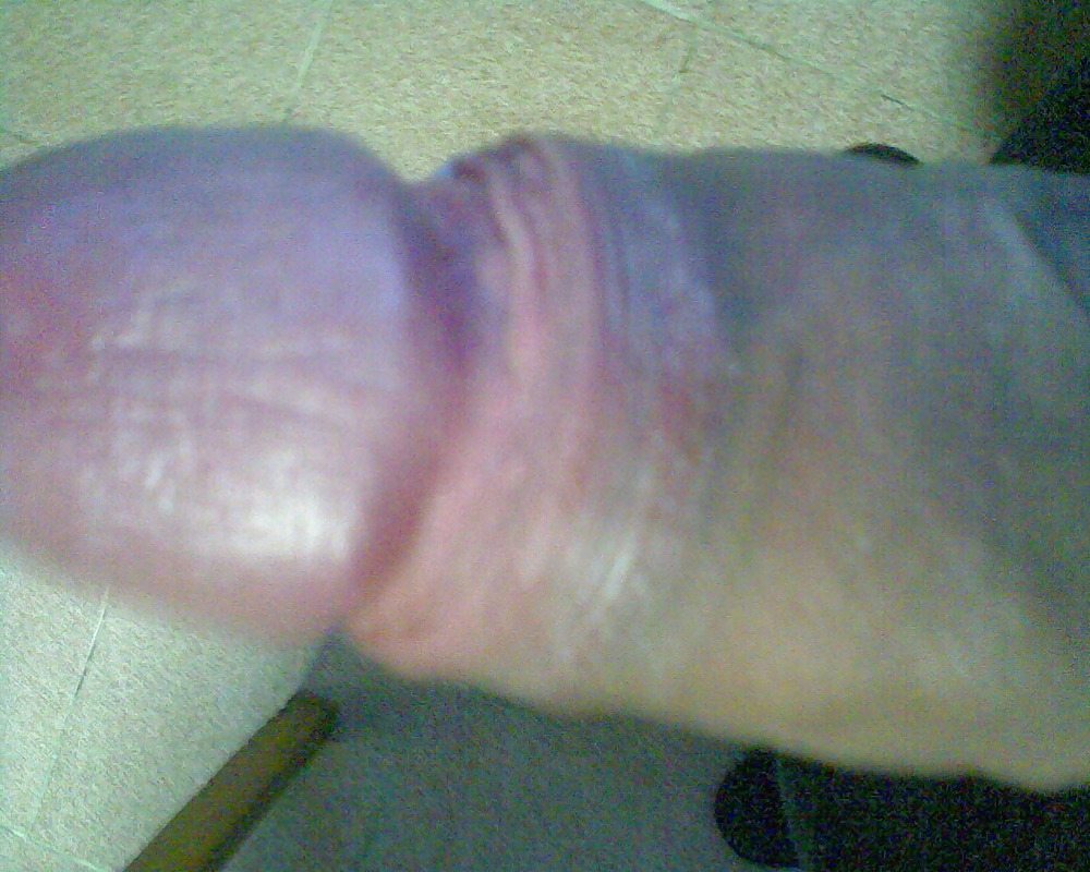 my dick porn pictures