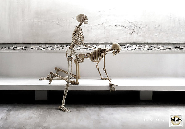 sexy skulls loool porn pictures