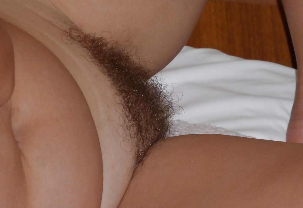 Hairy cunt of my wife. porn pictures