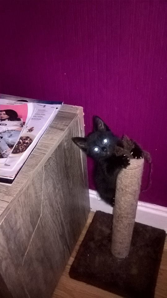 English slut gf porn pictures