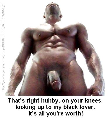 Sissy &  interracial Cuckold Captions porn pictures