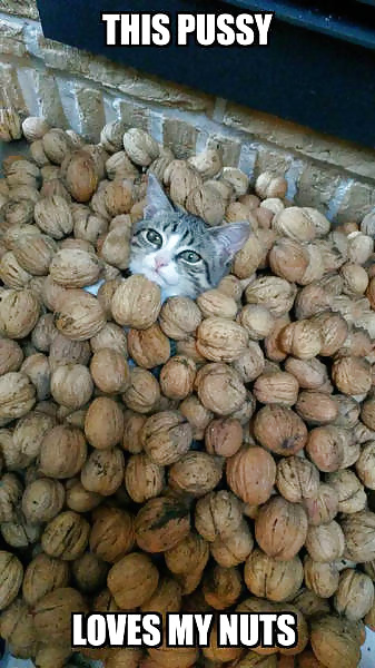 Girls and Diverses 35 porn pictures