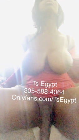 253px x 450px - Ts Egypt - 42 Pics | xHamster