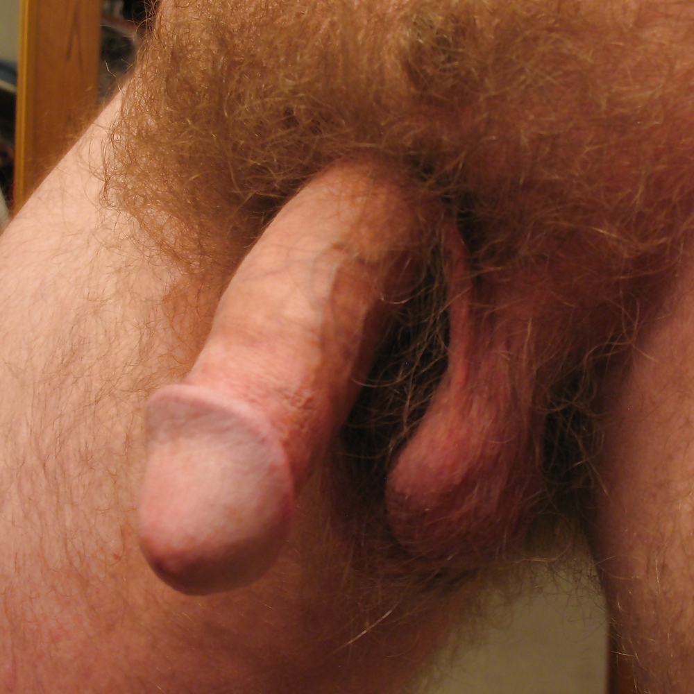 My penis porn pictures