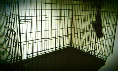 caged slave...