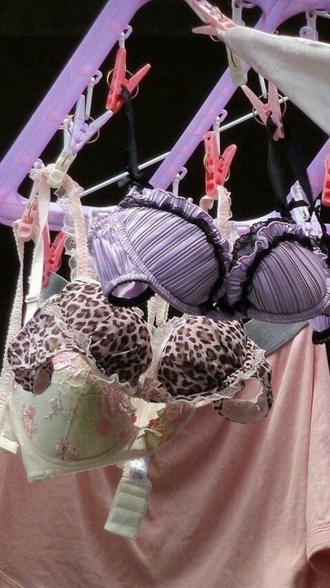 Hanging bra - 14 Pics 