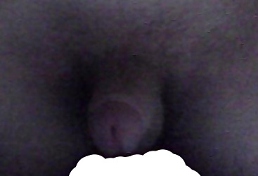 my dick porn pictures