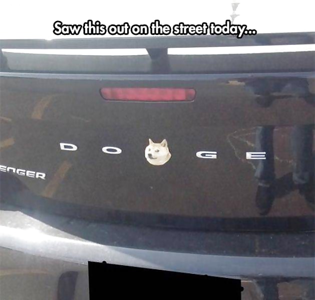 Girls and Diverses 109 porn pictures