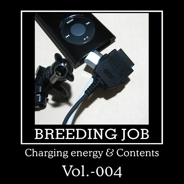 Practical Breeding Job 8-bit Vol-003 porn pictures