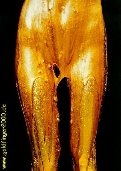 Silver and Gold porn pictures