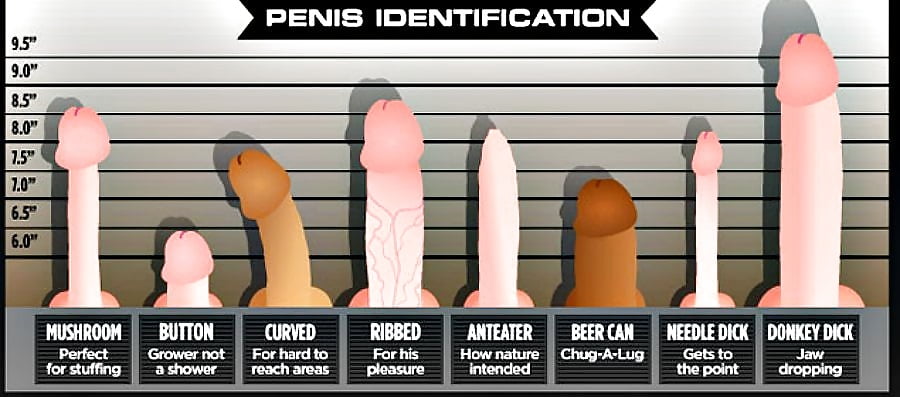 What Does Your Penis Look Like  Please Comment - 7 Pics -9090