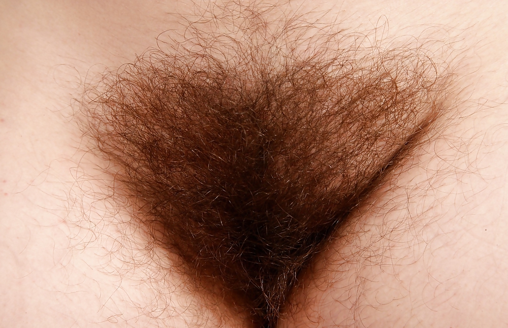 ultimate hairy part 4 porn pictures