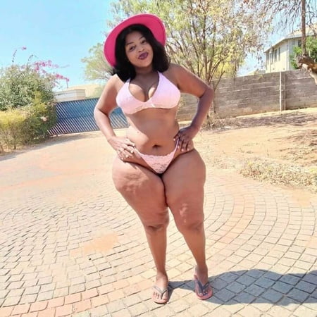 curvy wild horse free photos         