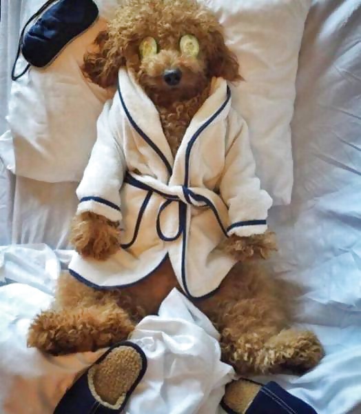 Girls and Diverses 29 porn pictures