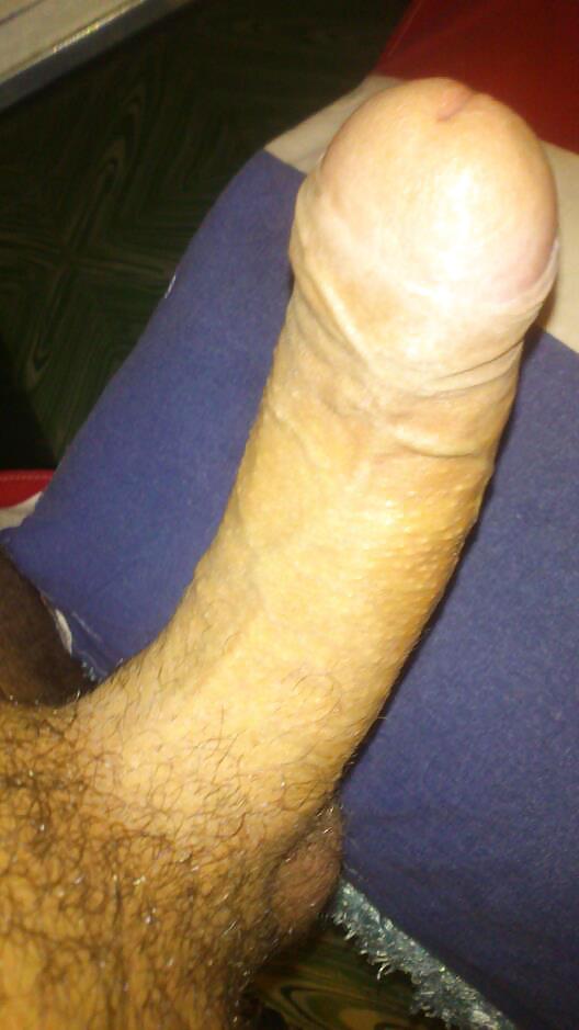 my hard cock for ladyes porn pictures