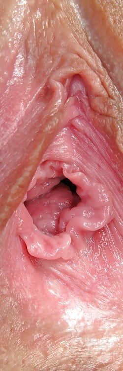 Amatours 11 porn pictures