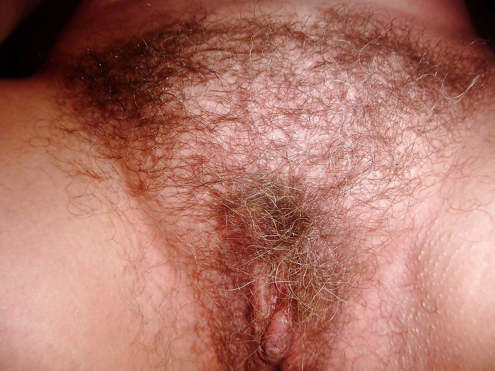 Hairy and Shaved porn pictures