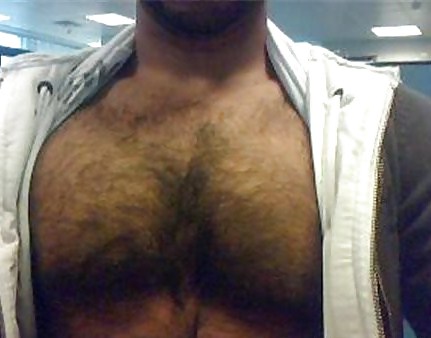 sexy hairy chest porn pictures