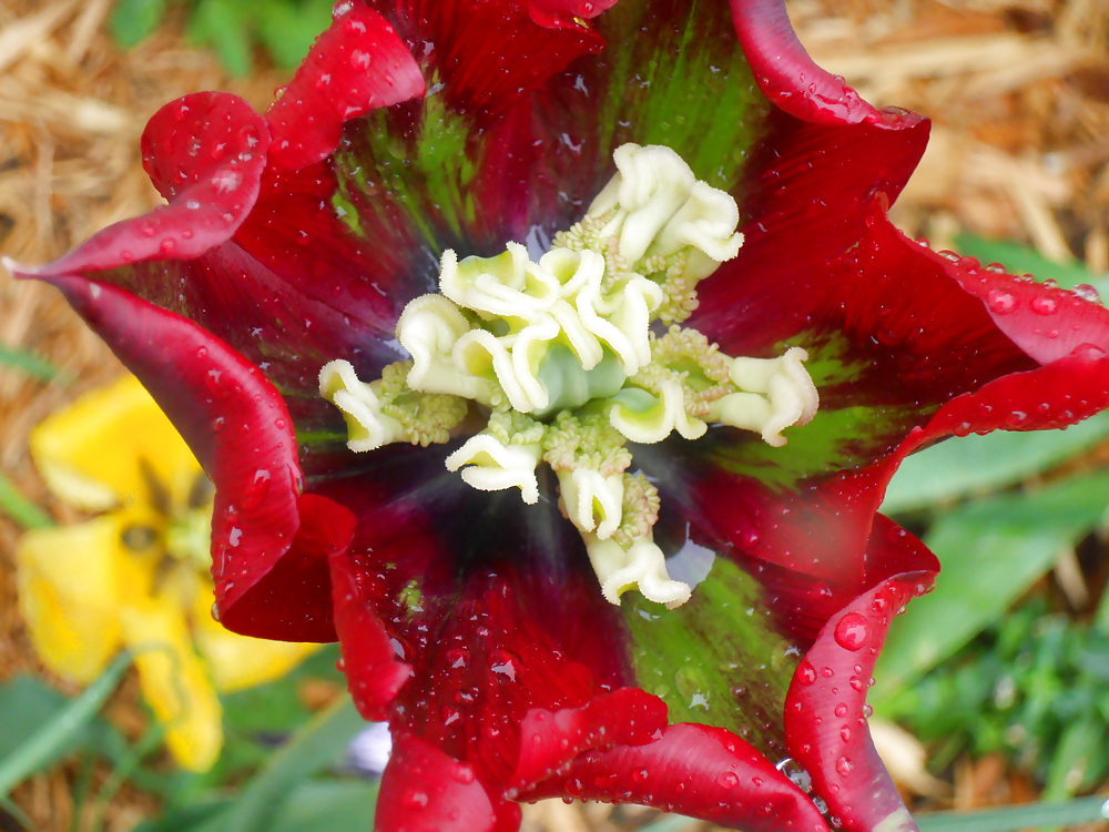 A Different View porn pictures