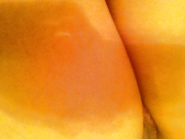 bitches i mess with porn pictures