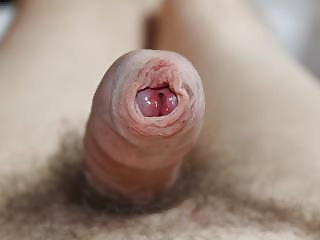 Erectione (921) porn pictures