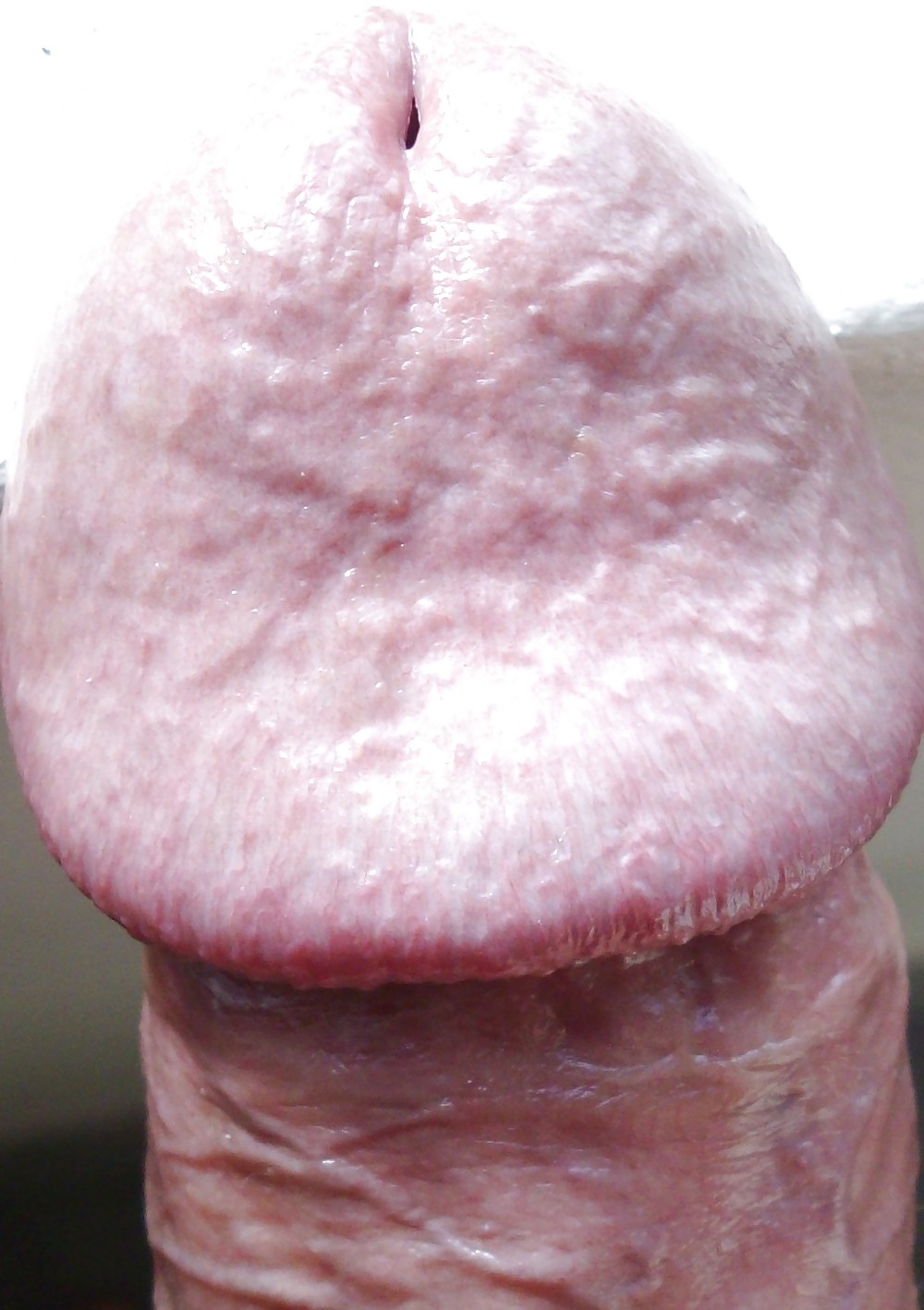 FRANK'S HUGE COCK: Detail of Head porn pictures