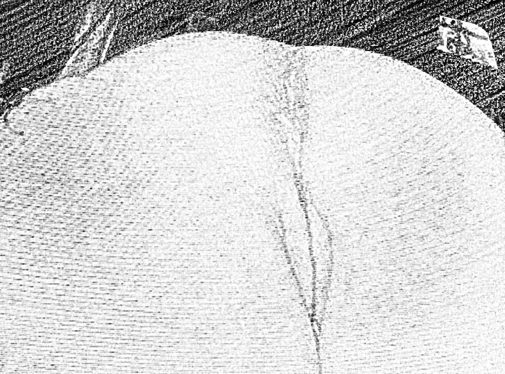 Sketch Art Pics of Italian MILF Mature Wife porn pictures