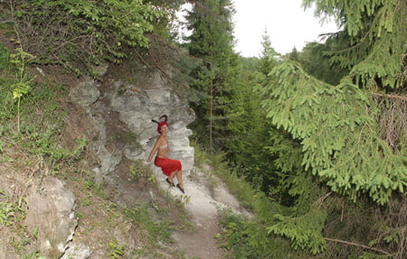forest satyr on the rock         