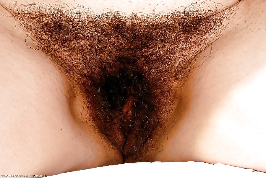 Hairy pussy amateurs porn pictures