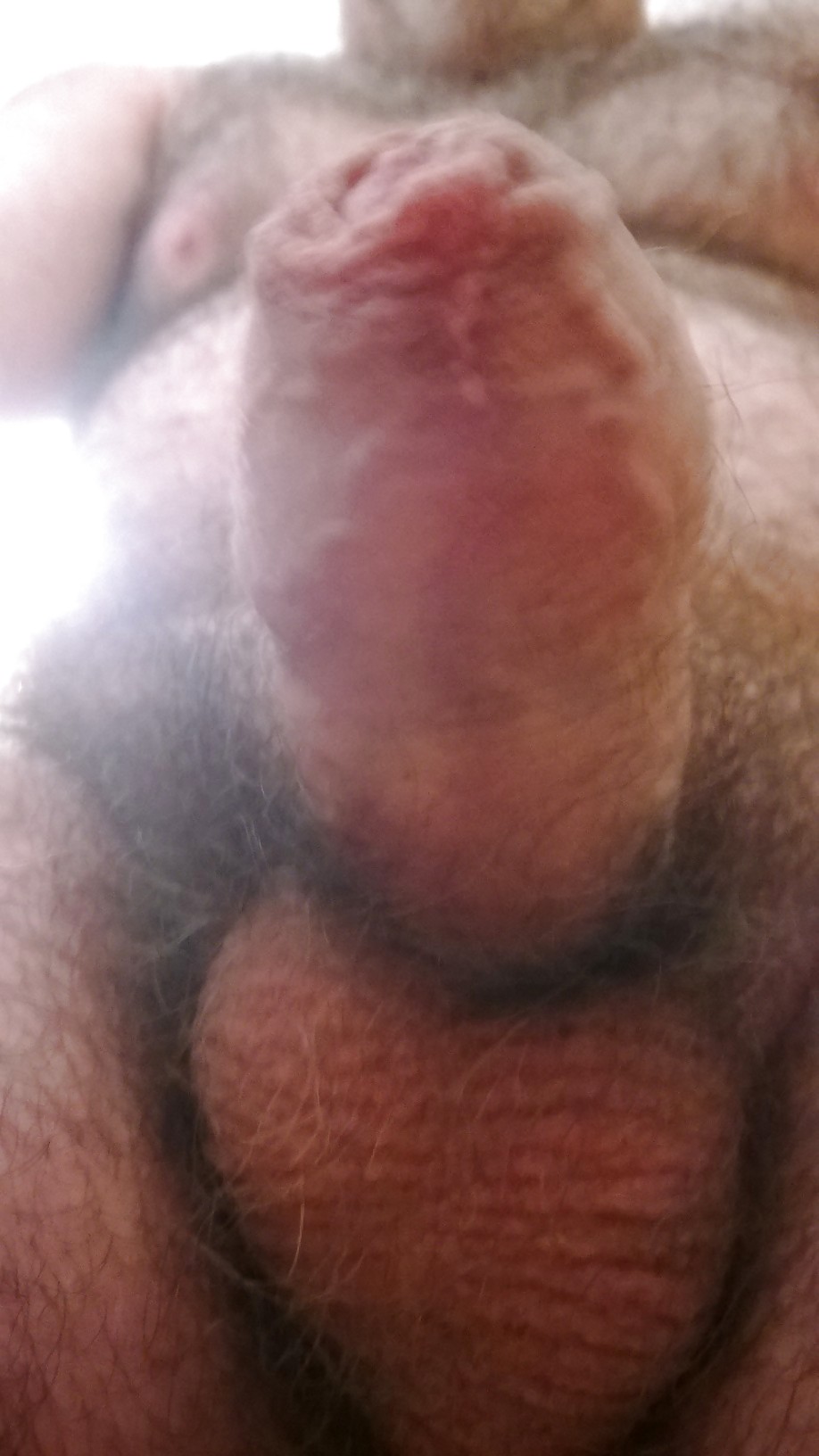 The cocksucker point of view (close up pics) porn pictures